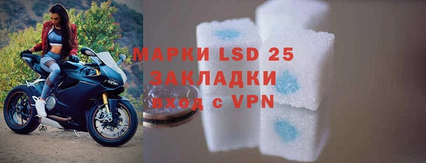 apvp Кукмор