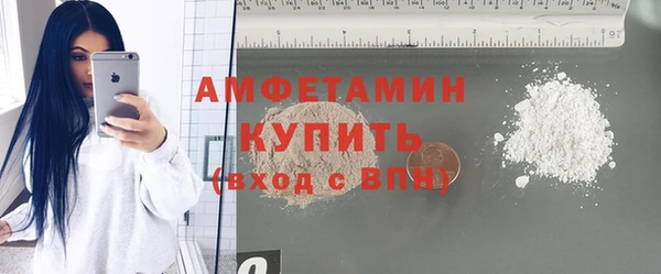 гашик Кулебаки