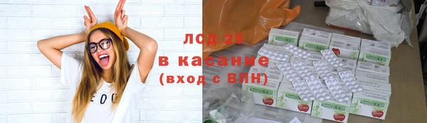apvp Кукмор