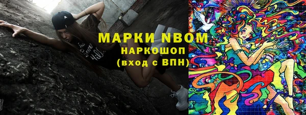 гашик Кулебаки
