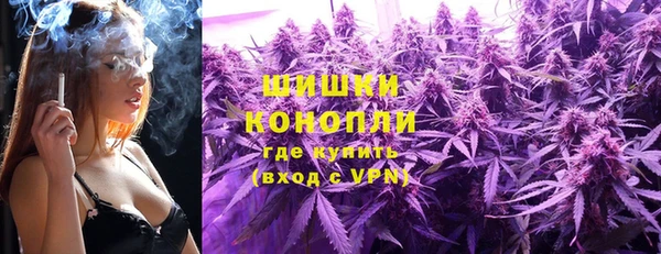 гашик Кулебаки