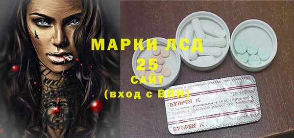 apvp Кукмор