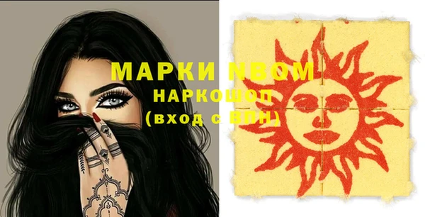 apvp Кукмор