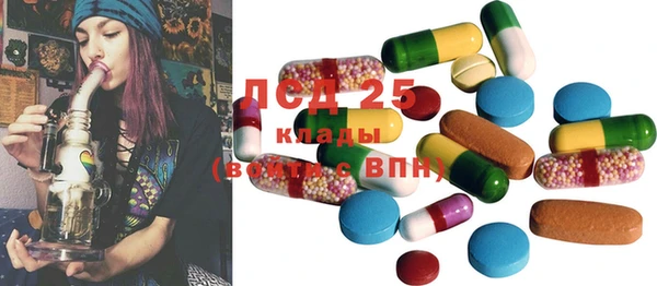 apvp Кукмор