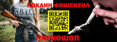крисы Моздок