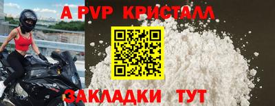 крисы Моздок