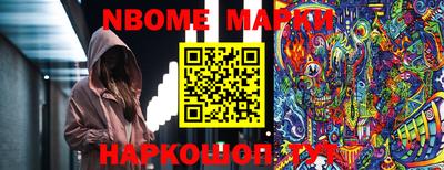 крисы Моздок