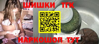 крисы Моздок