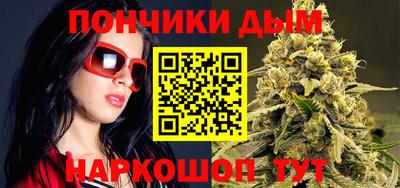 крисы Моздок