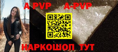 крисы Моздок