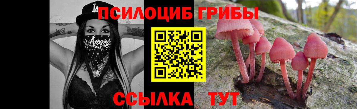 Псилоцибиновые грибы GOLDEN TEACHER Липецк